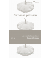 Carbassa patisson (Cucurbita pepo)