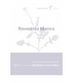 Ravenissa blanca (Diplotaxis erucoides)
